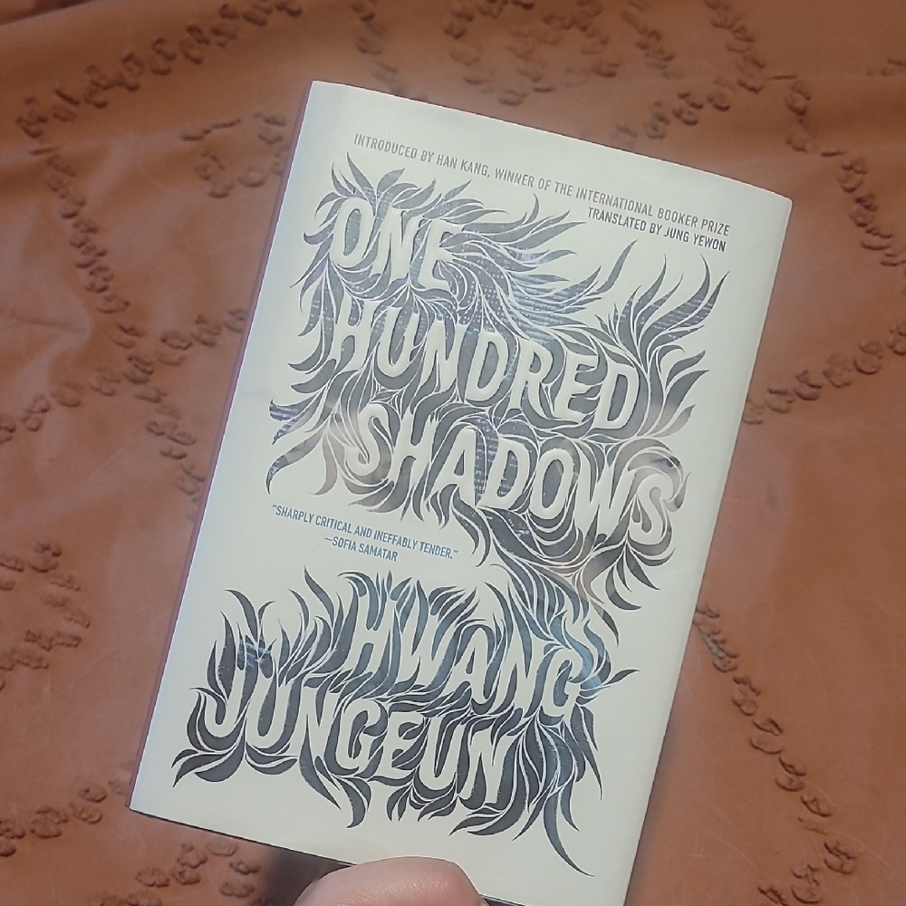 One Hundred Shadows Book